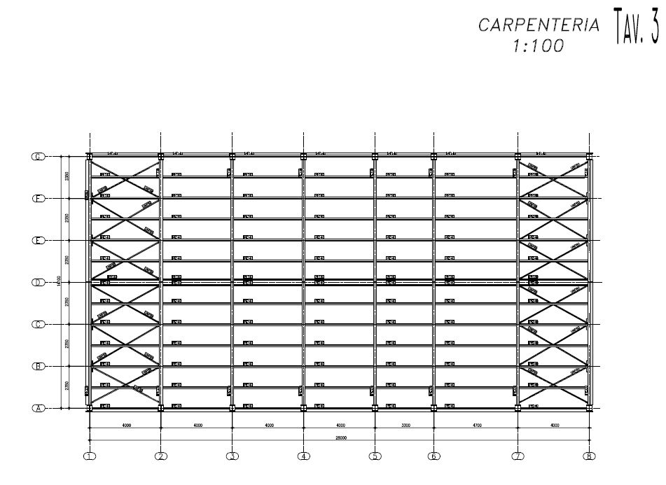 Carpenteria scala 1:100