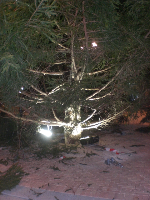 Installazione albero - 2